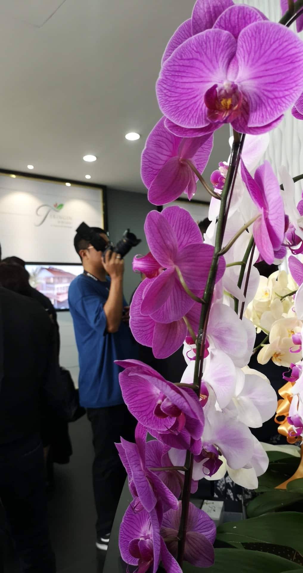 Teringin Private Preview & Show Gallery Opening